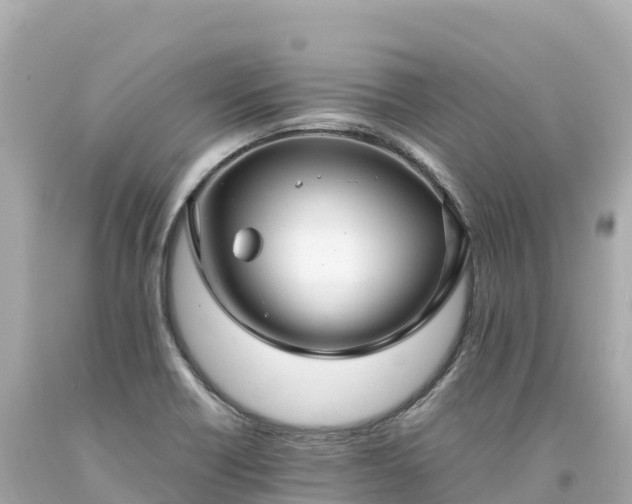 X0000094221418200711021129