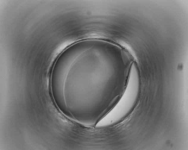 X0000094221419200711021129