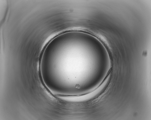 X0000094221420200711021129