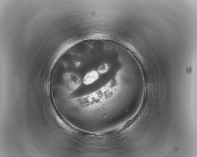 X0000094221421200711021129