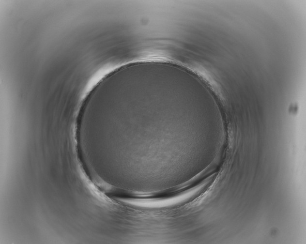 X0000094221422200711021129