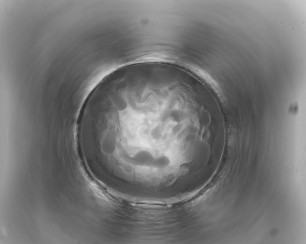 X0000094221423200711021129