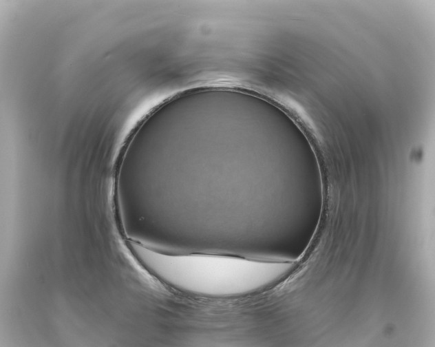 X0000094221424200711021129