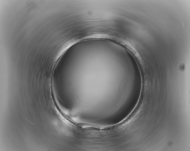 X0000094221425200711021129