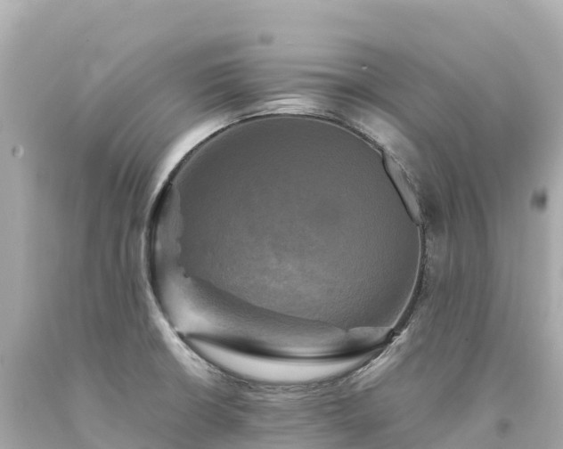 X0000094221426200711021129