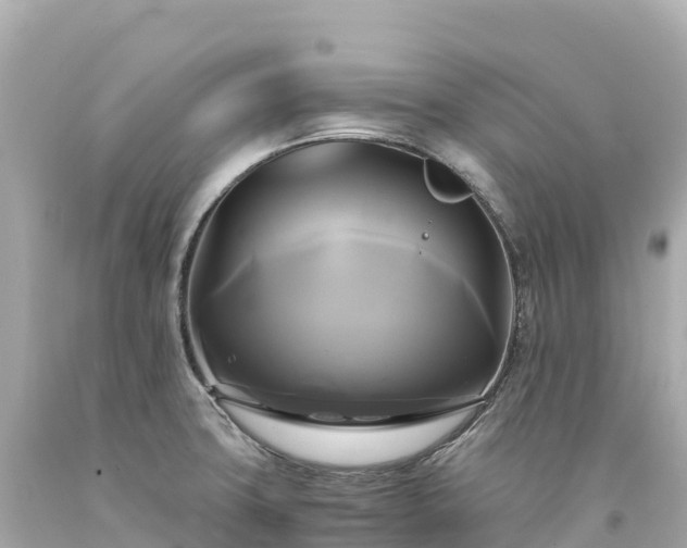 X0000094221427200711021129