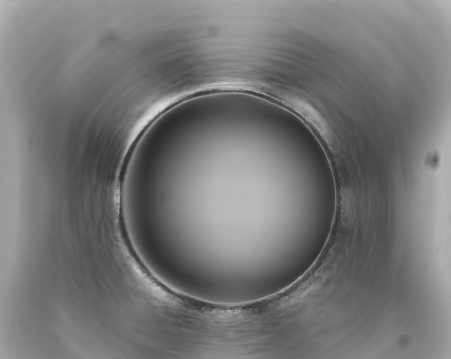 X0000094221428200711021129