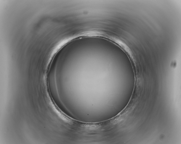 X0000094221429200711021129