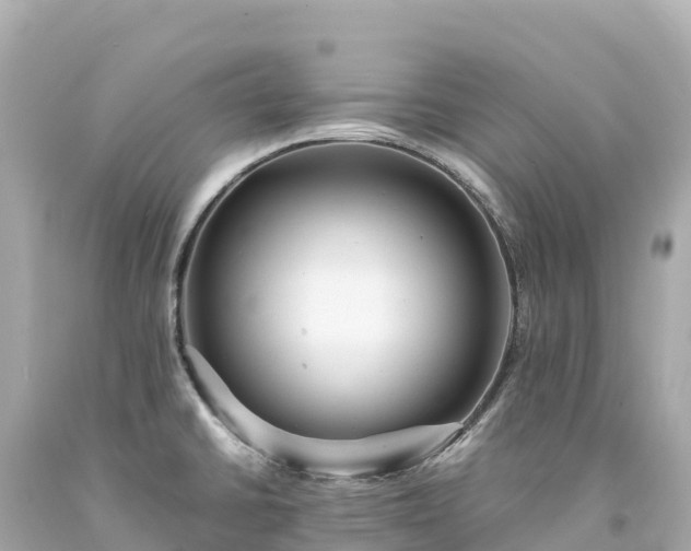 X0000094221430200711021129