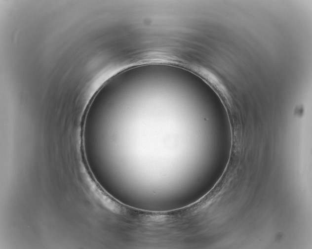 X0000094221431200711021129