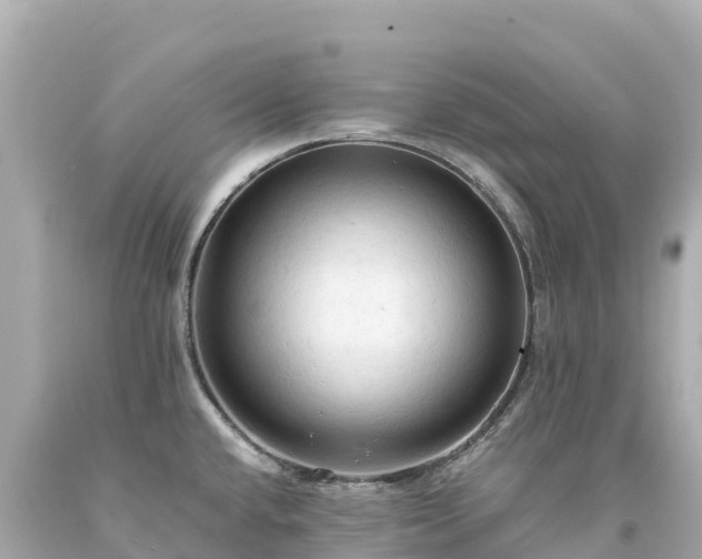 X0000094221432200711021129