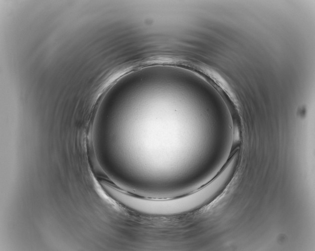 X0000094221433200711021129