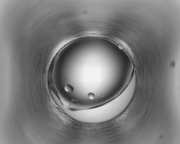 X0000094221435200711021129