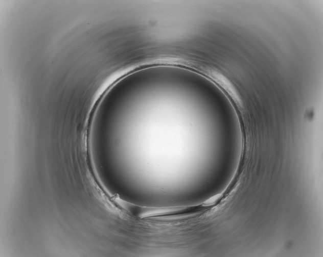 X0000094221436200711021129