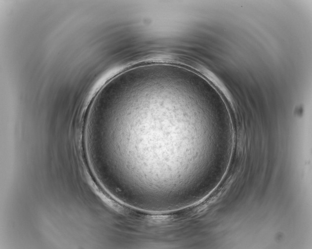 X0000094221437200711021129