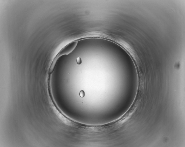 X0000094221438200711021129