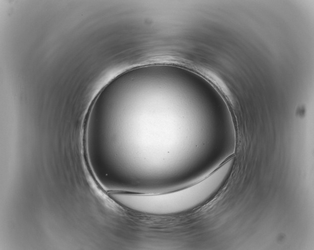 X0000094221439200711021129