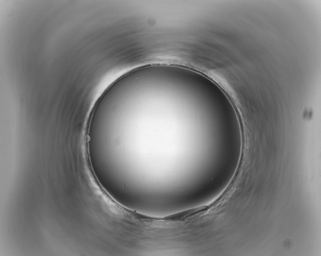 X0000094221440200711021129