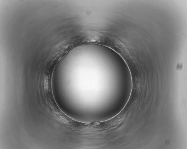 X0000094221442200711021128