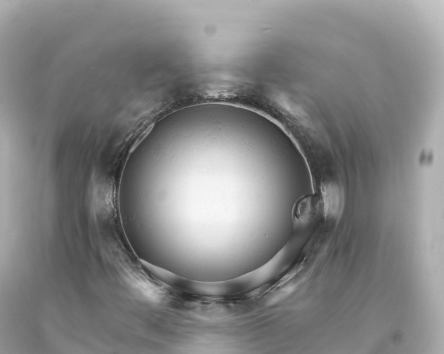 X0000094221444200711021128