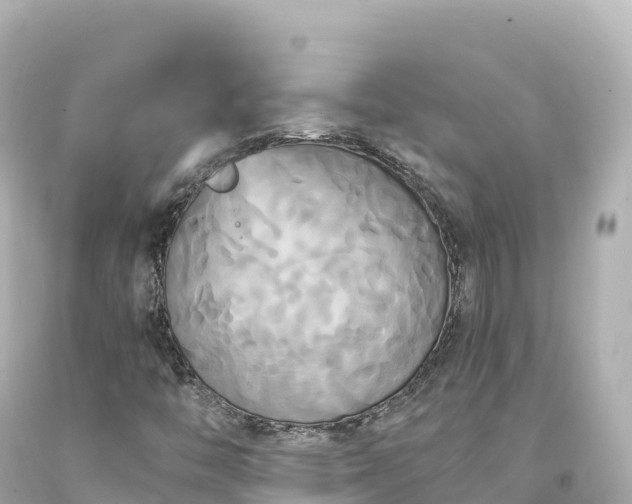 X0000094221446200711021128