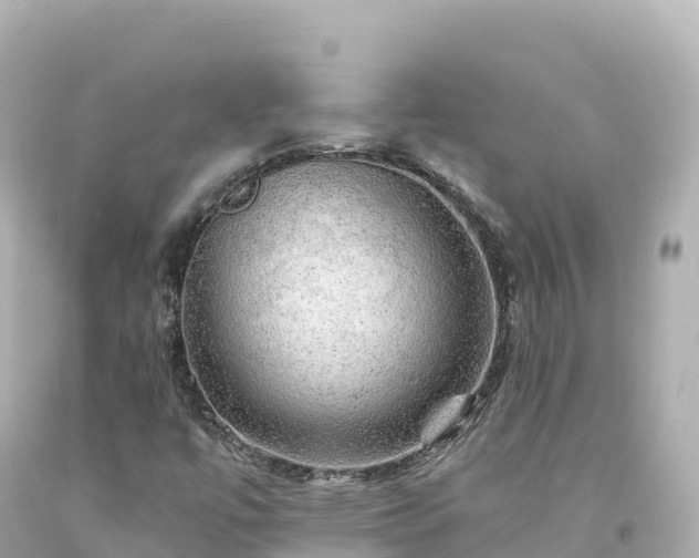 X0000094221447200711021128