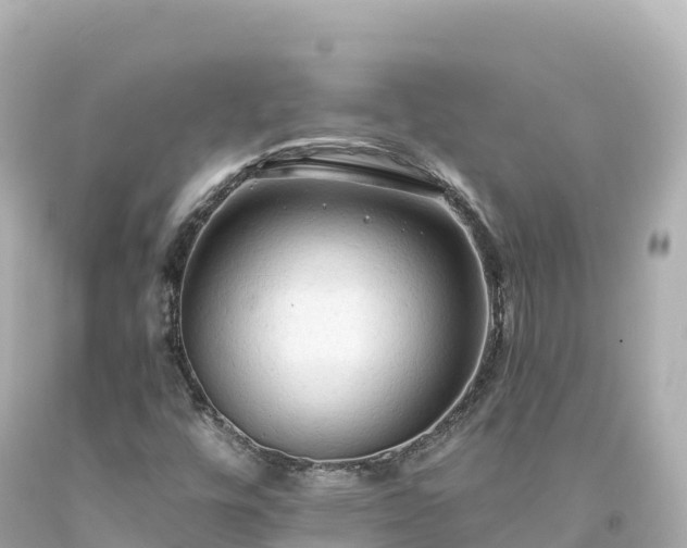 X0000094221448200711021128