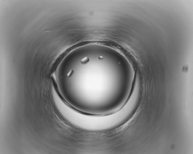 X0000094221449200711021128