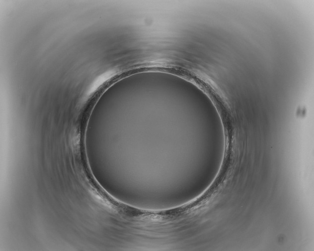 X0000094221450200711021128