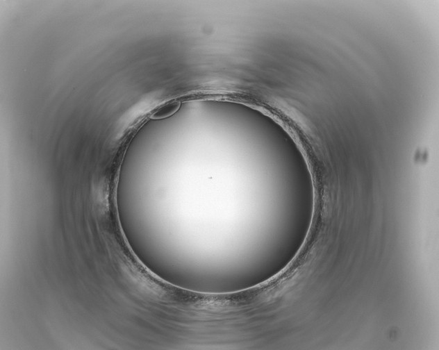 X0000094221451200711021128