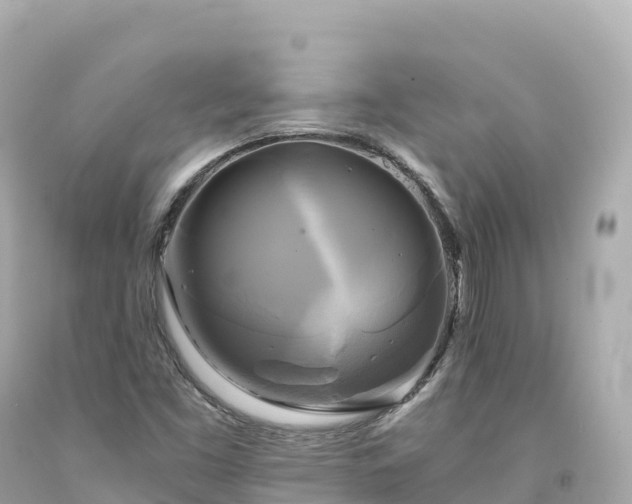 X0000094221453200711021128