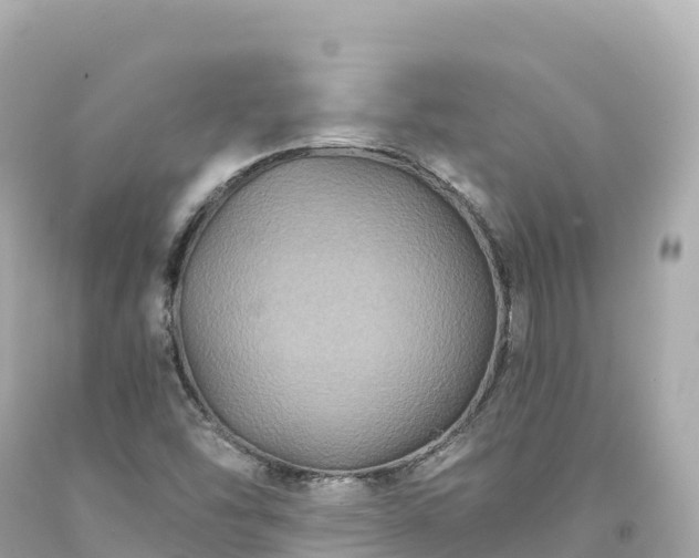 X0000094221454200711021128