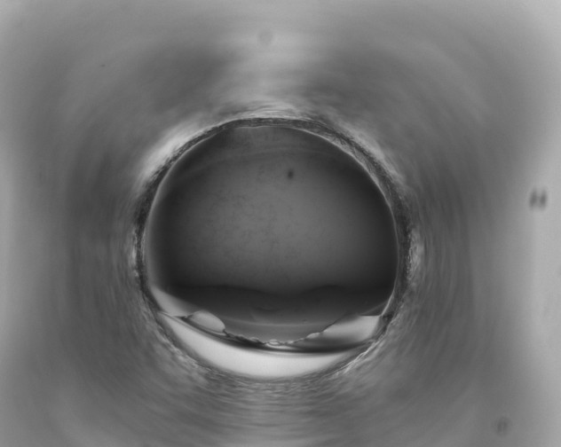 X0000094221455200711021128