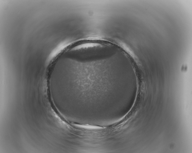 X0000094221456200711021128