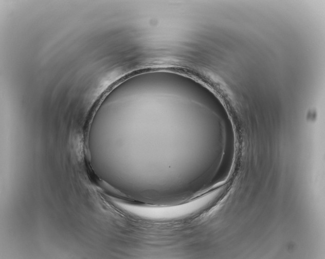 X0000094221457200711021128