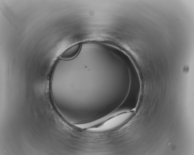 X0000094221459200711021128