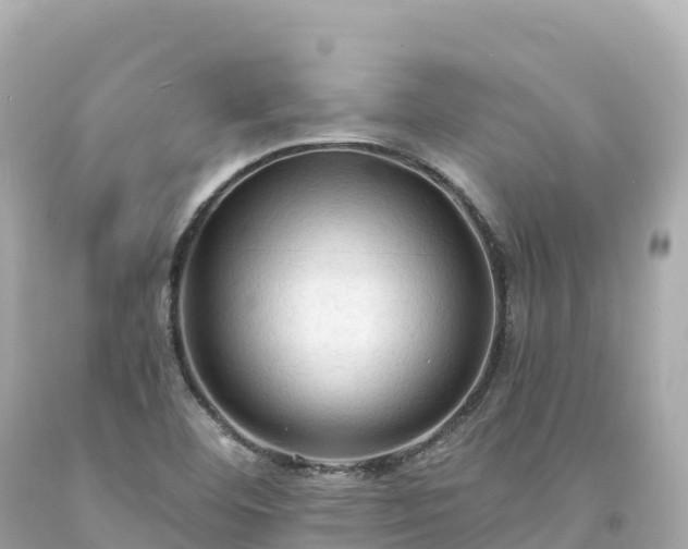 X0000094221460200711021128