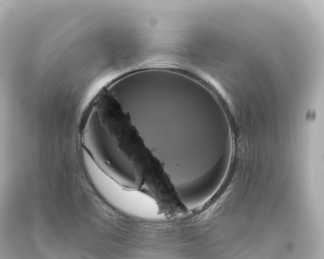 X0000094221461200711021128