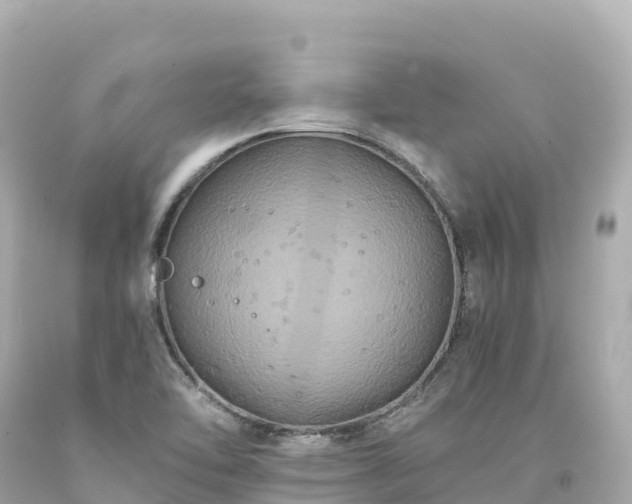 X0000094221462200711021128