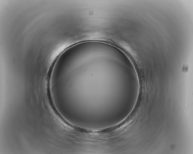 X0000094221463200711021128