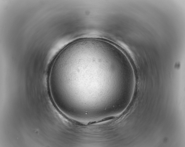 X0000094221464200711021128