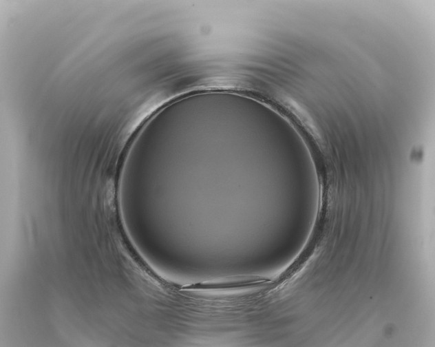 X0000094221465200711021128