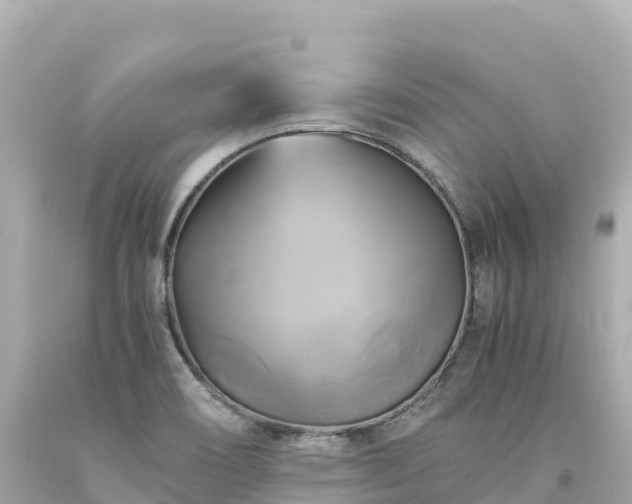 X0000094221466200711021128