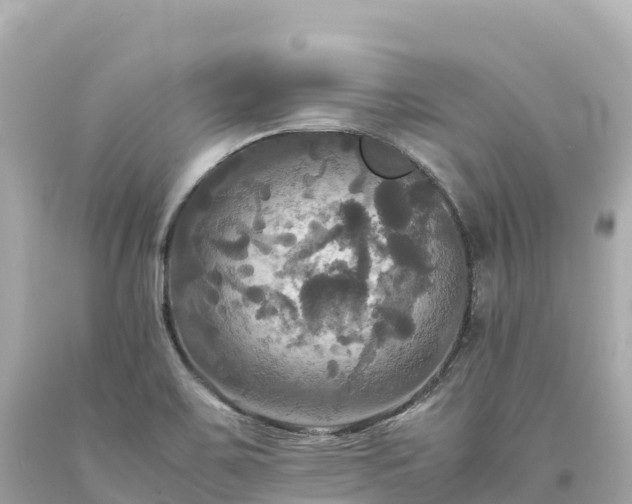 X0000094221467200711021128