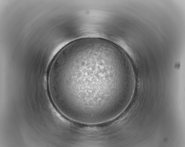 X0000094221468200711021128