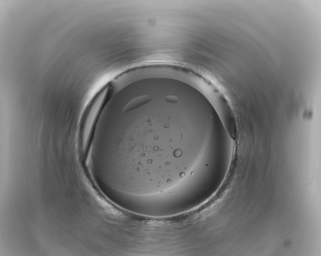 X0000094221469200711021128