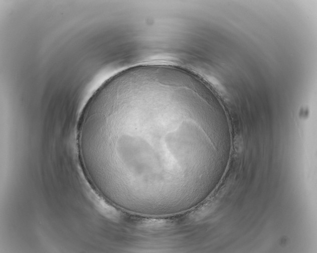 X0000094221470200711021128