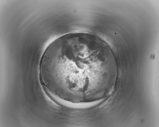 X0000094221471200711021128