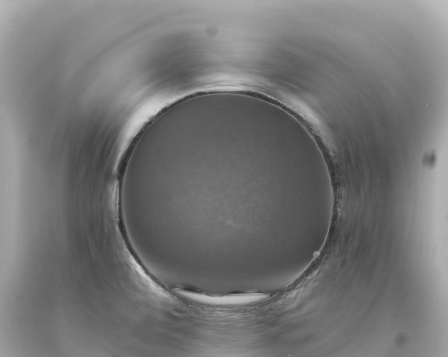 X0000094221472200711021128