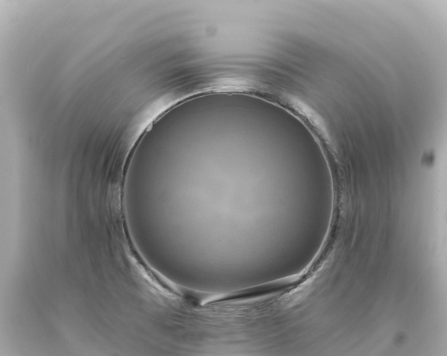 X0000094221473200711021128